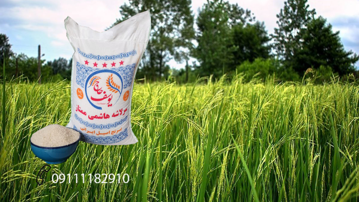 برنج طارم