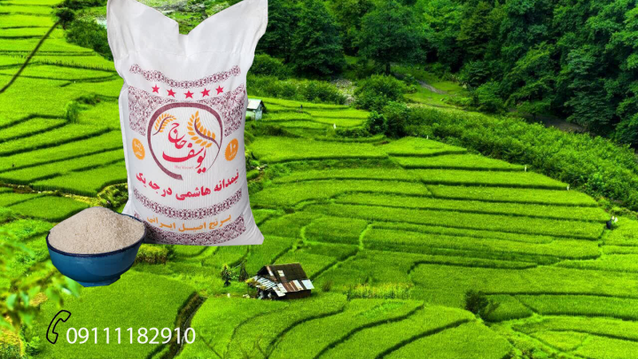 خرید عمده برنج