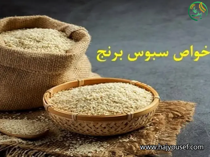 خواص سبوس برنج چیست؟