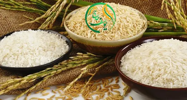 ظاهر برنج حتی قبل از پخت هم مهم است