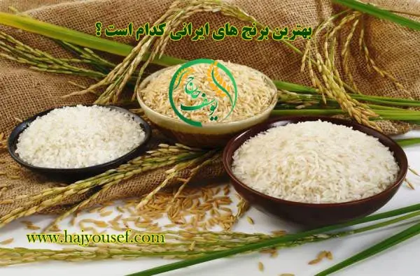 بهترین برنج های ایرانی کدام است ؟