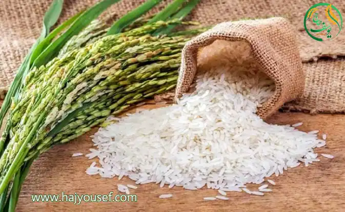 قیمت عمده برنج ها