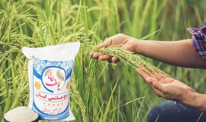 طرز پخت برنج ایرانی