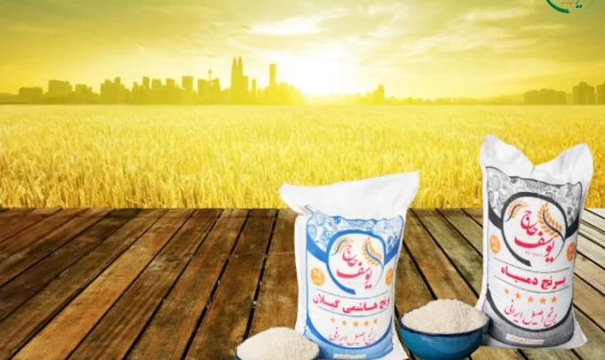 قیمت روز برنج