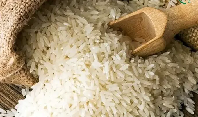 قیمت برنج علی کاظمی