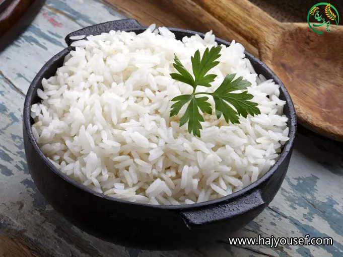 برنج گیلان