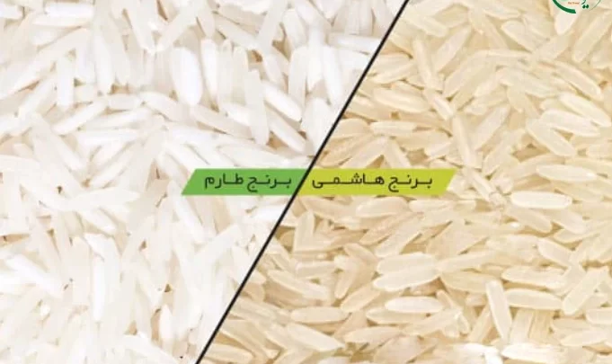 تفاوت برنج هاشمی و طارم چیست؟