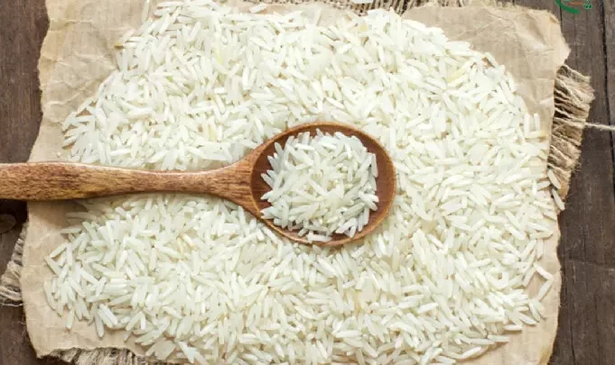 معرفی برنج گیلان