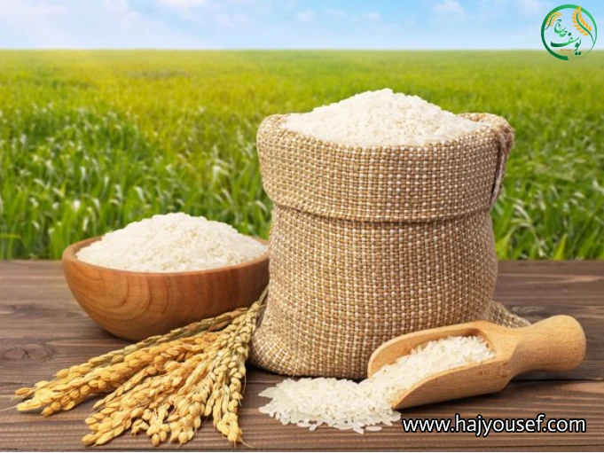 مقایسه کیفیت برنج هاشمی و طارم