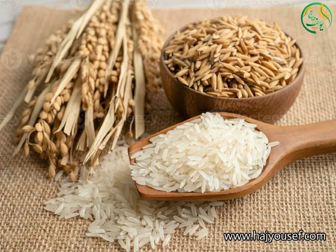 پخت برنج قهوه ای برای لاغری
