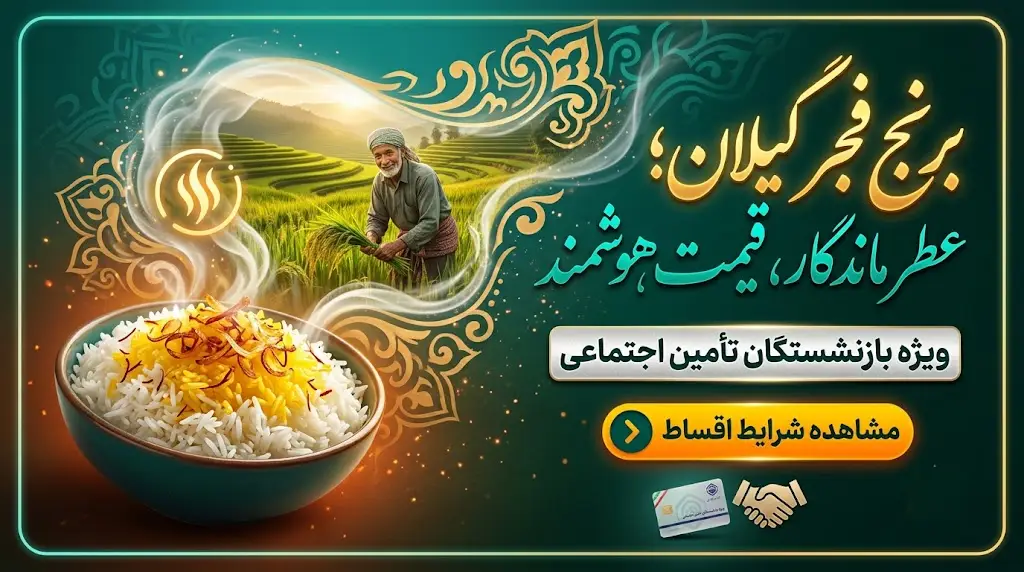 برنج فجر گیلان