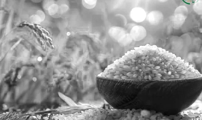 دیدن برنج در خواب چه تعبیری دارد؟