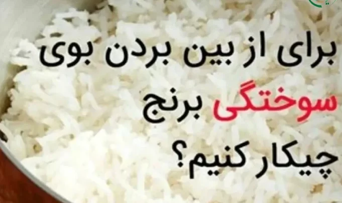 معرفی روش های رفع بوی سوختگی برنج