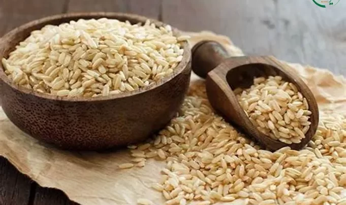 خرید برنج طارم کشت اول اعلا