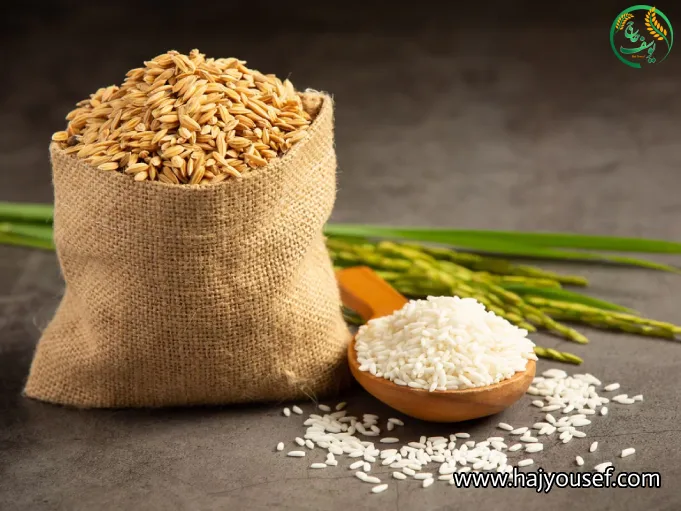 برنج شمال و جنوب چه تفاوتی دارند؟