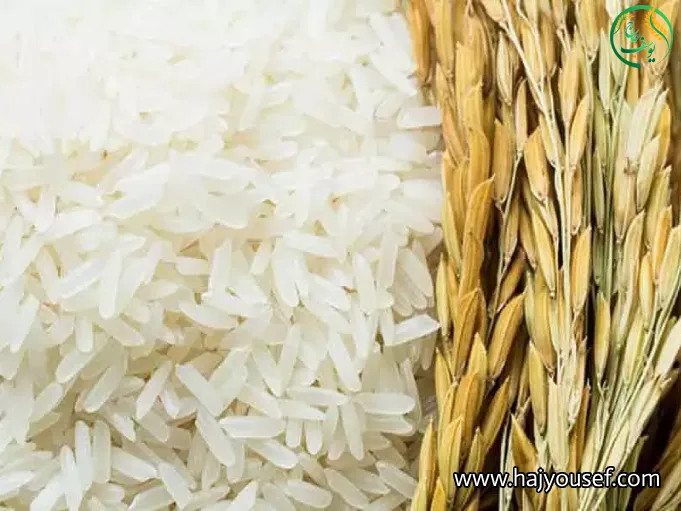 تفاوت برنج شمال و برنج جنوب؟