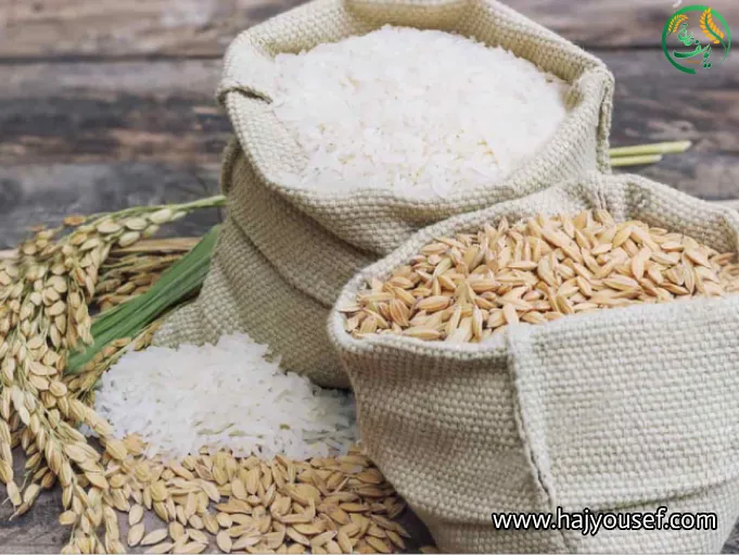 تفاوت مهم برنج شمال و برنج جنوب