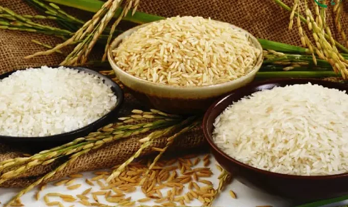 تشخیص برنج ایرانی از پاکستانی