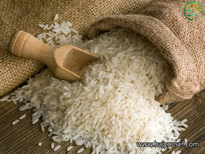 قیمت روز انواع برنج ایرانی