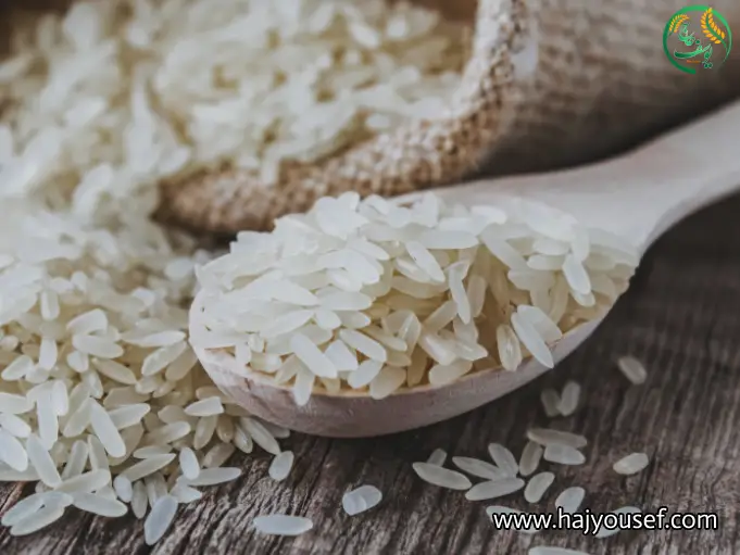 عطر و بوی برنج