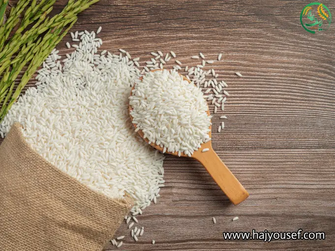 عطر و بوی برنج چیست؟