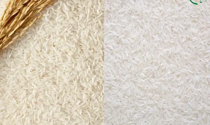 تفاوت برنج هاشمی و دمسیاه