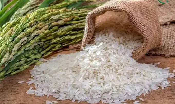 قیمت برنج ایرانی امروز