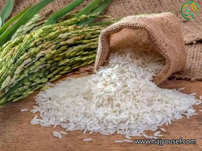 قیمت برنج ایرانی امروز