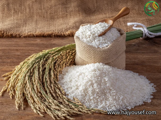 تولید آرد برنج