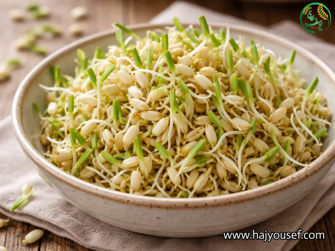 ارزش غذایی جوانه برنج