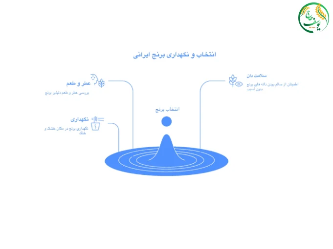 نگهداری برنج ایرانی 